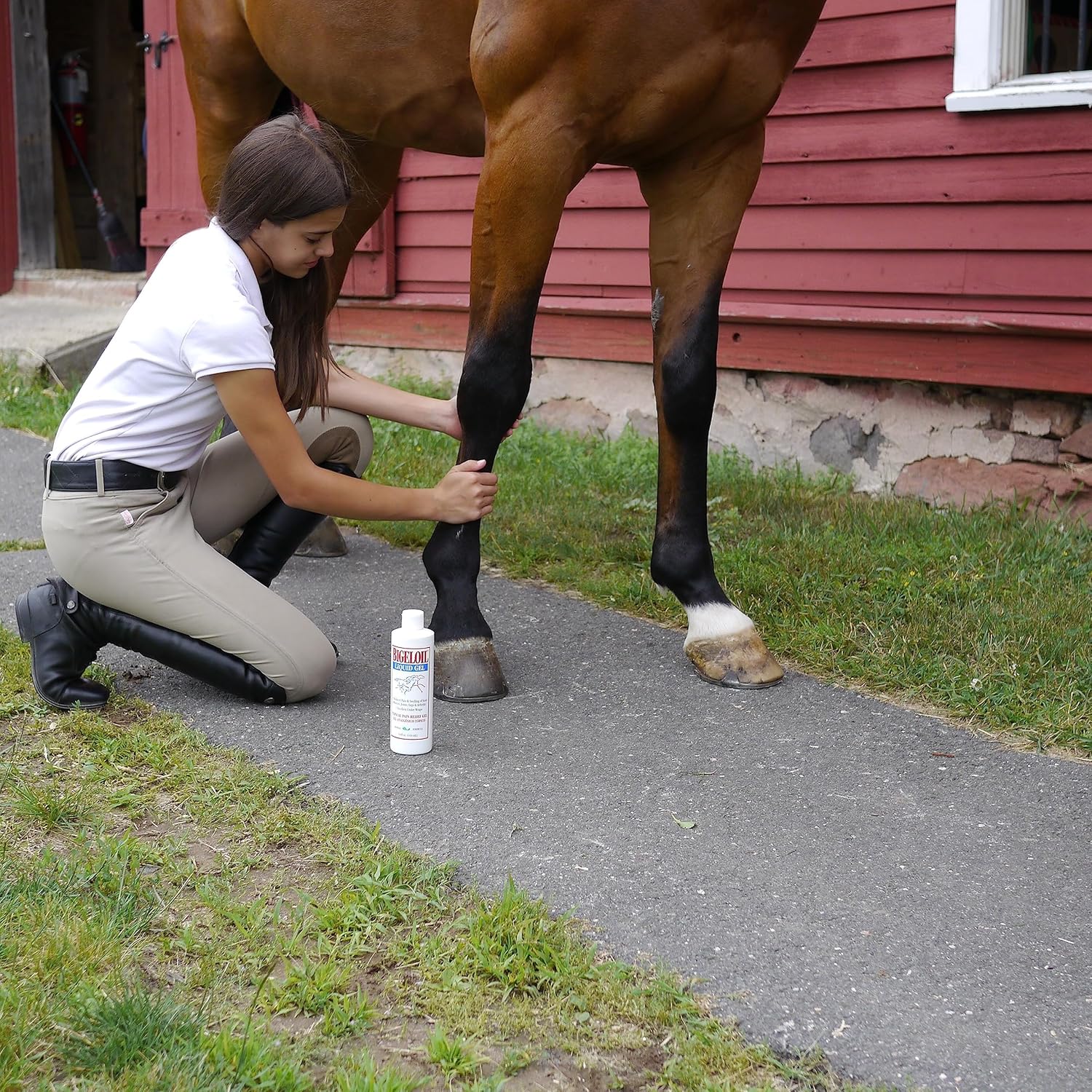 Absorbine Bigeloil Liniment